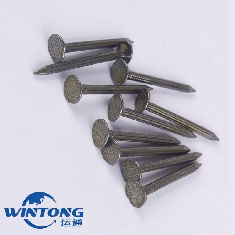 Construction Carpenter Cement Nail, Cement Nails for Building Fixing