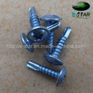 Self Drilling Screw