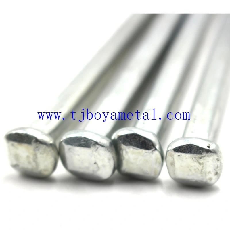 Square Boat Nail Iron Nail Price E. G Polished H. D. G Bright White Sliver Iron Raised Head Square Boat Nail