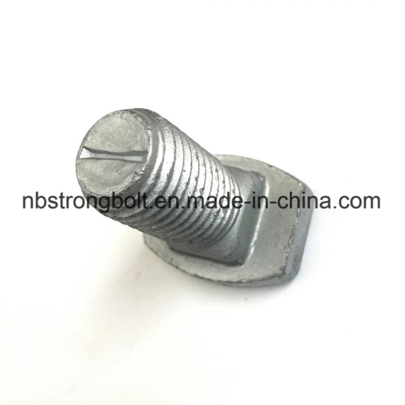 Square Head Bolt Screw Customization/Custmized Square Bolt