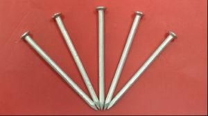 Concrete Nails Galvanised