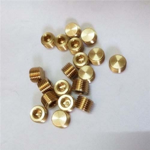 Dme Mold Parts Brass Pipe Plugs for Injection Molding