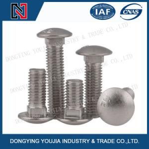 SUS304 Round Head Carriage Bolt with Square Neck of DIN, ANSI, GB, ISO, JIS Standard