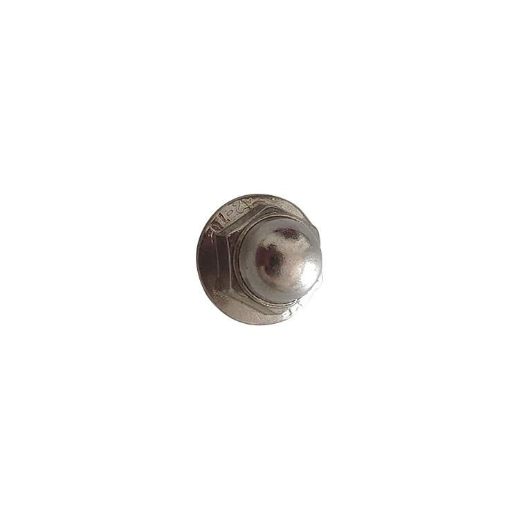 Stainless Steel Flange Cap Nuts, Hex Serrated Flange Cap Nut