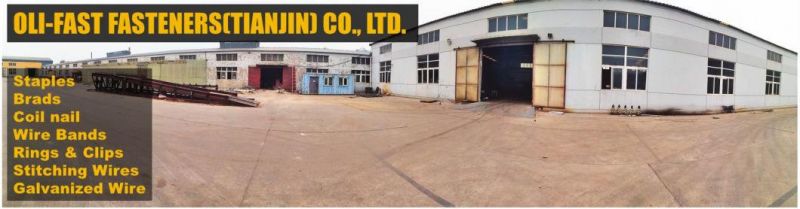 3" X 0.113" Coil Nails, 15 Degree Bright and Galvanized Coil Nails