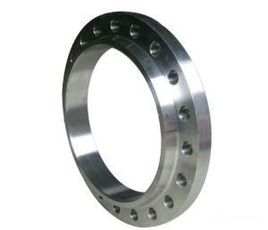 Duplex 2205 Alloy Steel Flange