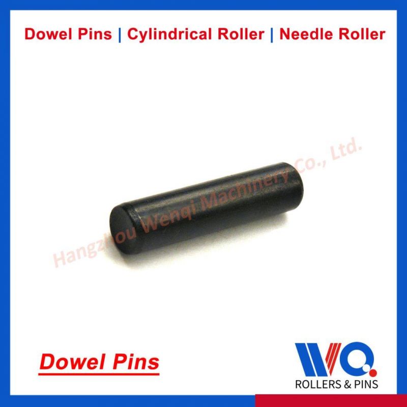 China Pivot Pins Stainless Steel A2 with Chamfer Ends