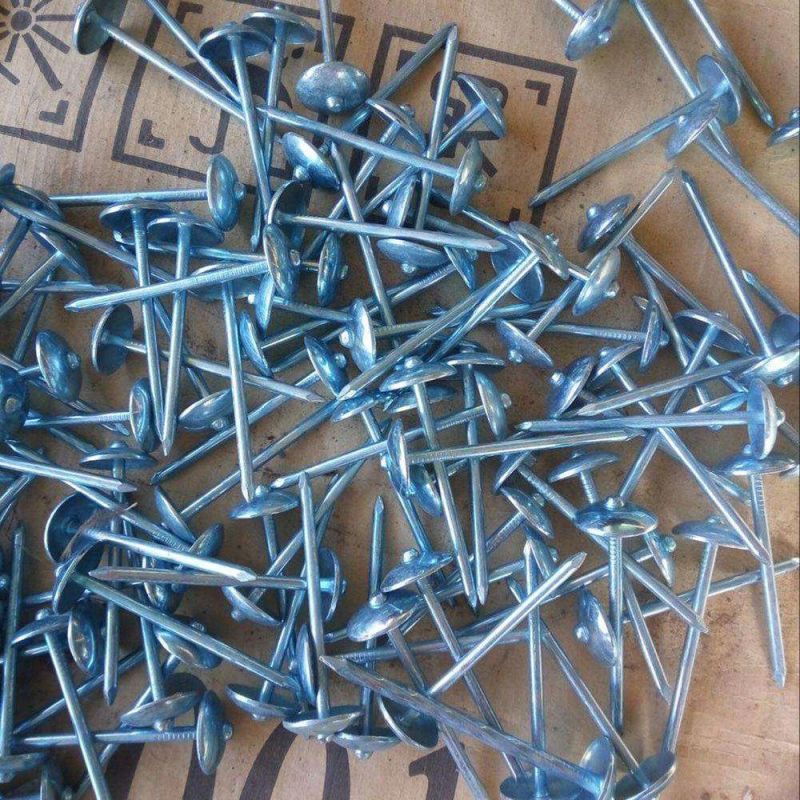 Direct Manufacturer Since Factory Price Galvanized Umbrella Head Roofing Nail