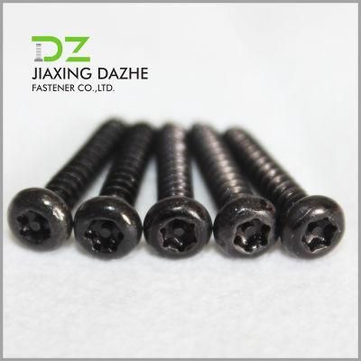 Pan Head Torx Sloted Special Screw Machine Screw