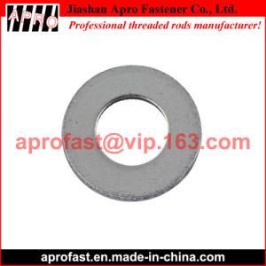 Stainless Steel SAE Flat Washer