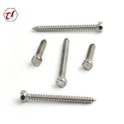 A2 316 Tapping 304 Stainless Steel Screw Hex Head Screw