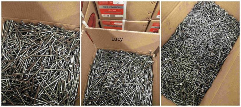 2.5 Inch Common Steel Nail Cheap Common Nail for Building