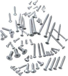 Auto Parts Stainless Steel Fastener Bolt and Nut Screw
