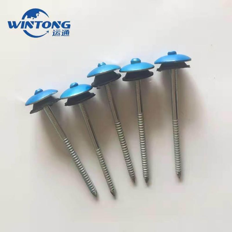 Q235 Roofing Nail, Corrosion Resistant Corrugated Nails, Roofing Nail