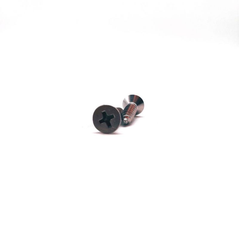 Stainless Steel Cross Recessed Countersunk Head/Csk Self Tapping Screw Fastener Machine Screw