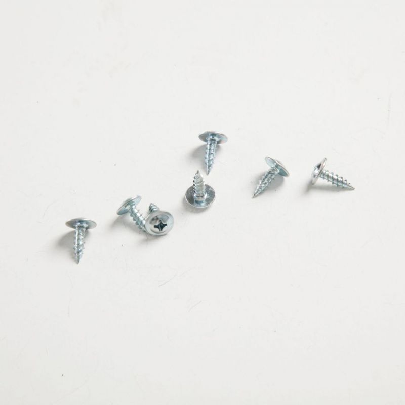 Tianjin China Factory Hot Selling Truss Head Self Tapping Screw
