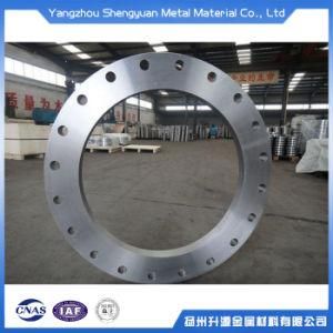 OEM Hot Sale Forging Flange Aluminum Pipe Flanges