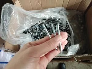 Galvanized Roofing Nail with Washer 25kg in Carton