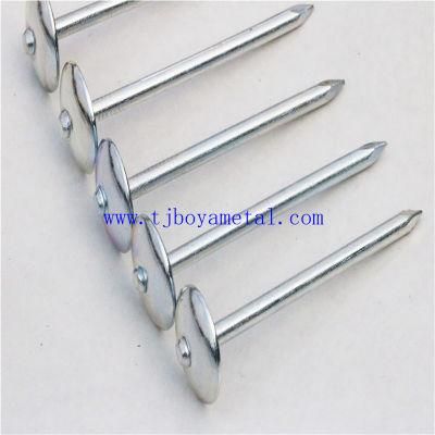 Direct Factory Supply Galvanized Corrugated Sheet Nails/Hot Sale Twisted Shank Umbrella Head Roofing Nails