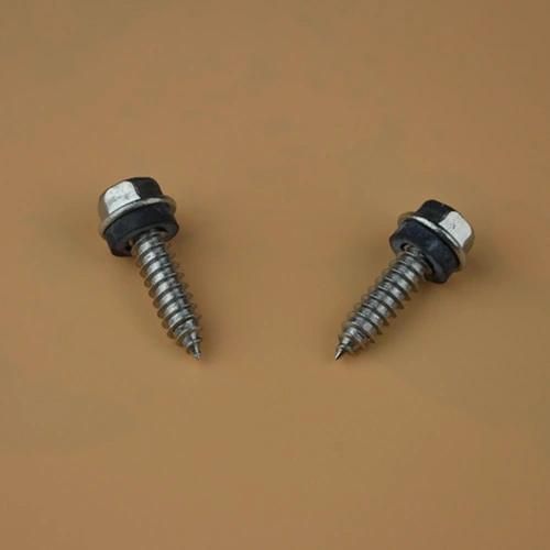 Screw Self Drilling Screw Wing Tek Screw Dome Washer