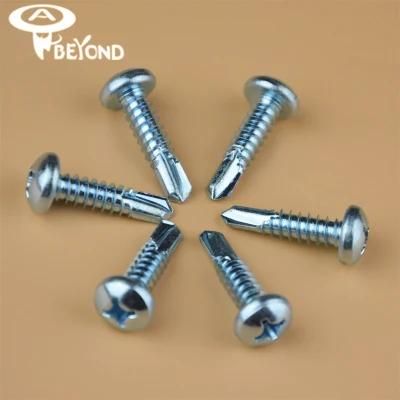 Screw Self Drilling Screw Bi-Metal Screw