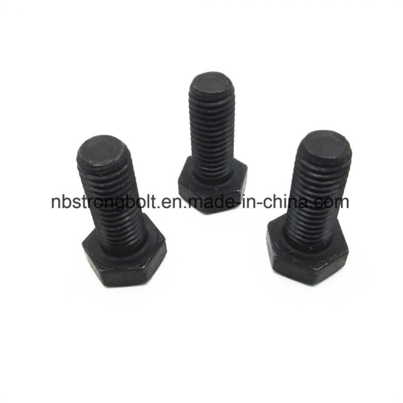 Hex Bolt Black Screw More Than 10 Years Produce Expricence Factory
