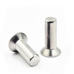 Countersunk Head Solid Rivet