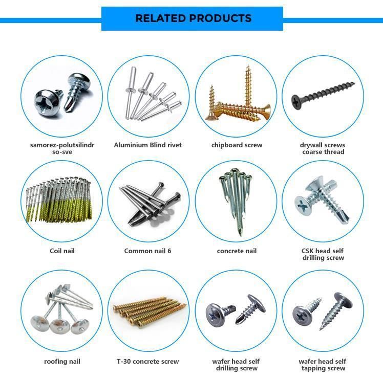Modified Truss Head Self Drilling/Tapping Screws with Wafer Head