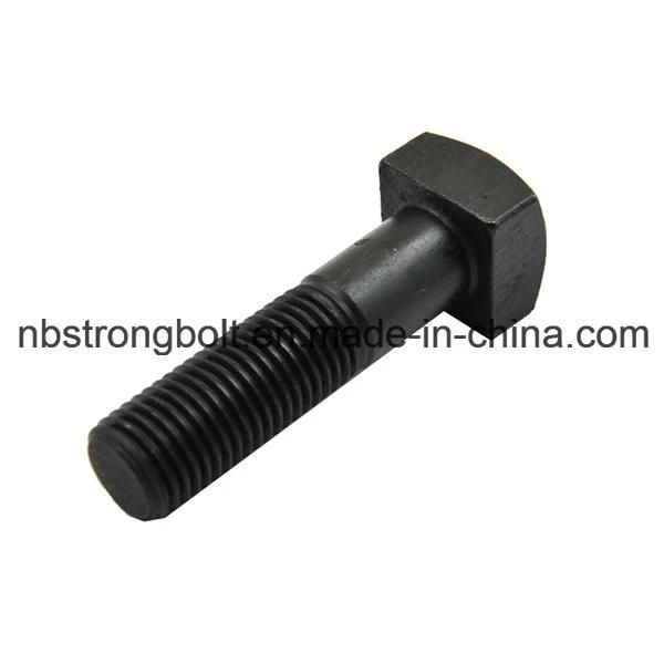 Square Head Bolt Screw with Black Oxid DIN1587 More Than 10 Years Produce Expricence Factory