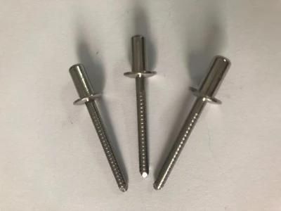 Stainless Steel Large Head Pop Blind Rivets