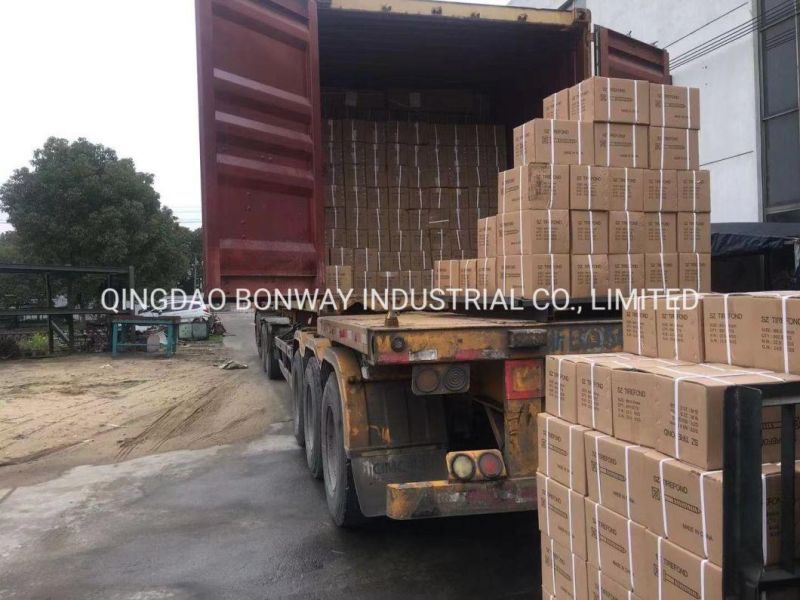 M8*80 M8*100 Tirfonds Screw Fastener for Cote Divore, Gabon, Cameroon, Niger Steel Fastener