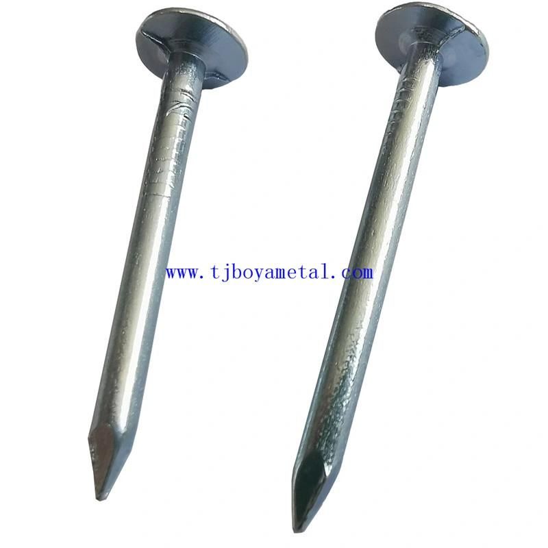 Clout Nails Clout Nails 20 X 2.8mm Galvanised Clout Nails