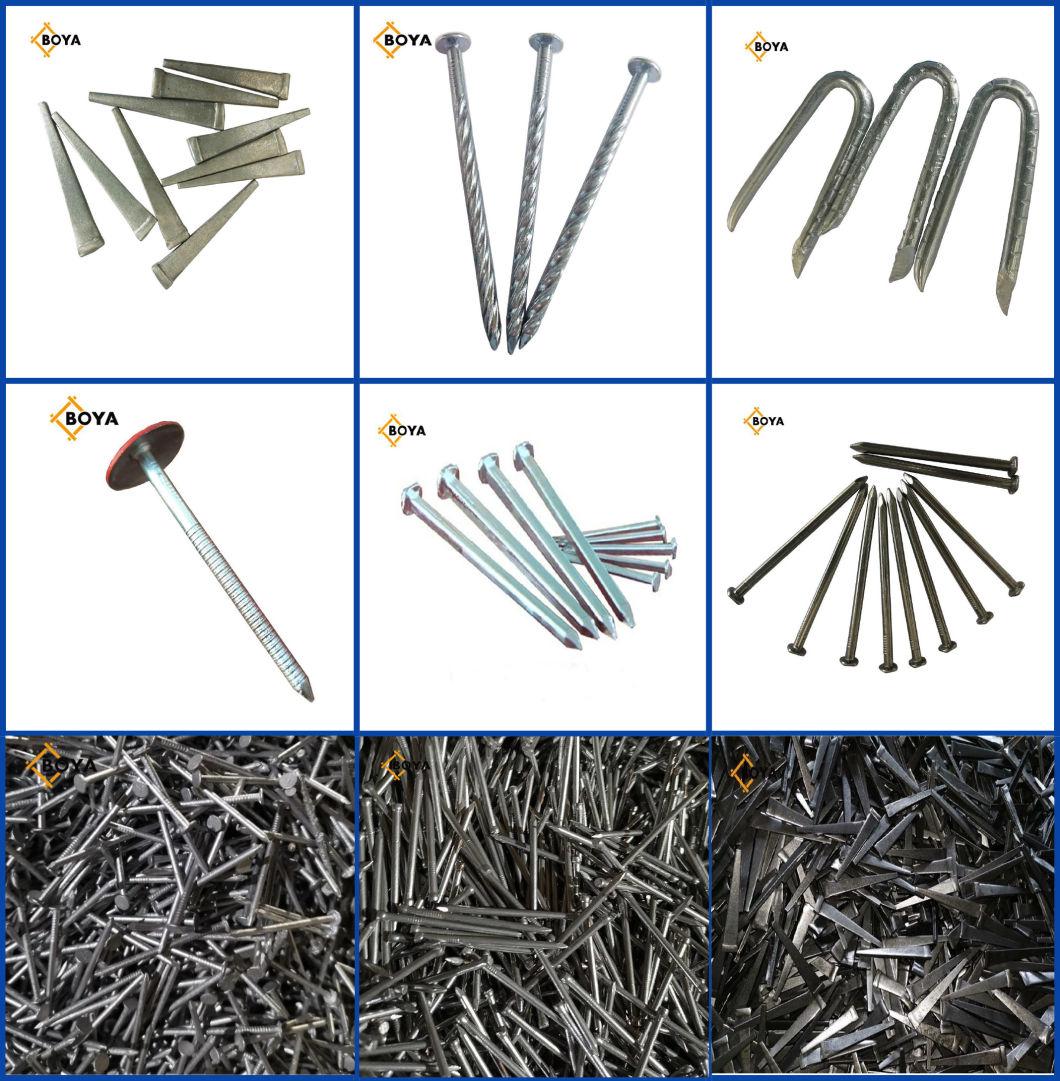 Electro Galvanized Square Boat Nails for Boat Building