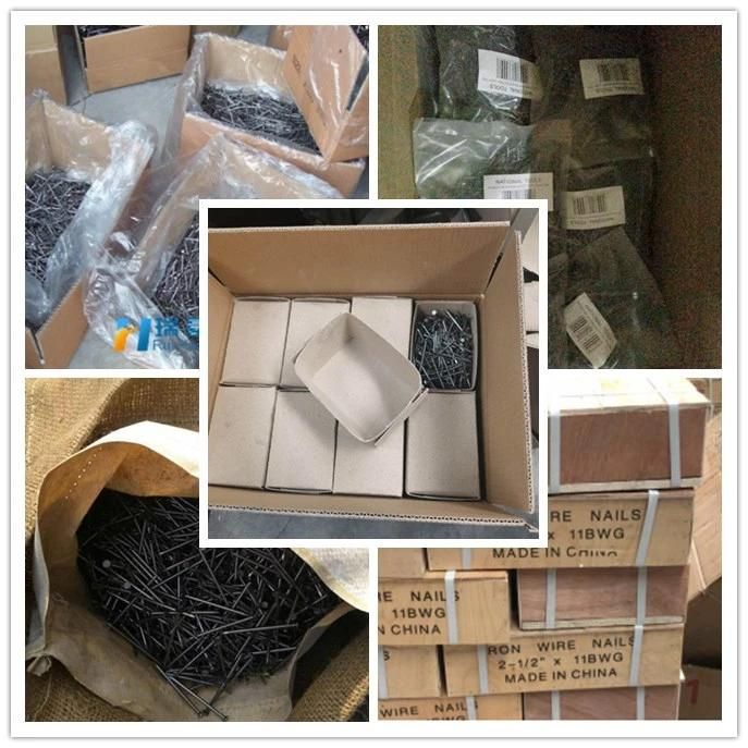 Best Price Common Nails/Concrete Steel Nail /Iron Nail/Polished Wire Nail/Common Round Nails/Metal Nails/Wood Nail