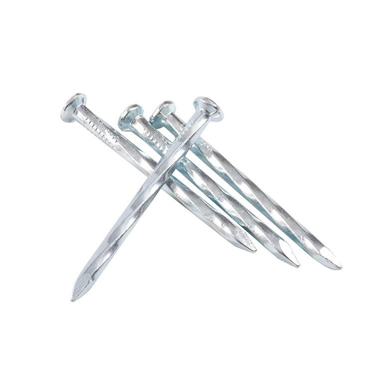 Galvanized Steel Nails Stainless Steel Iron Nails