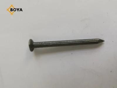 Manufacturer Concrete Nails with Oil