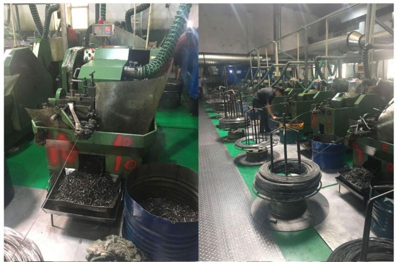 China Tianjin Manufacturer Drywall Screw Nail Zinc Plated Drywall Screw