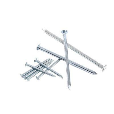 Philippines Singapore Market/Professional Manufacture Electro Galvanized Square Boat Nails for Boat