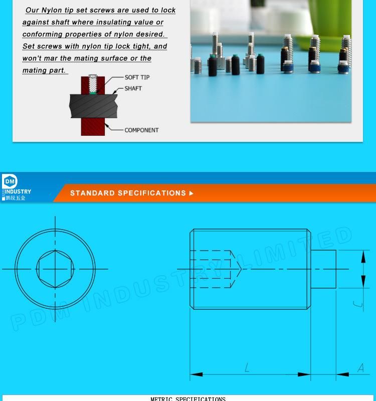 Stainless Steel Soft Nylon Tip Socket Set Screw Brass Tip Set Screw Set Screw with Soft Tip Set Screw with Nylon Tip Hex Head Set Screw Hex Socket Set Screw
