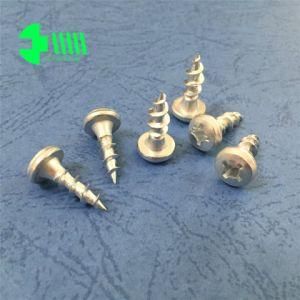 Cross Recessed Pan Head Self-Tapping Screw for Building