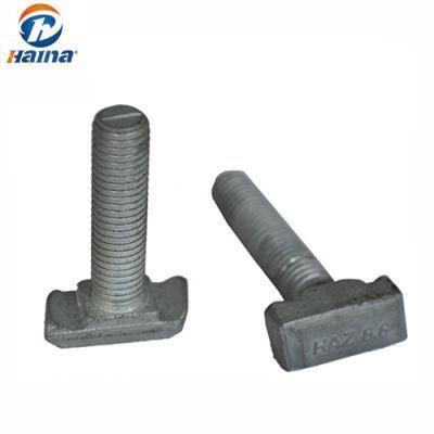 Hot DIP Galvanized T Bolt/T-Bolts/Customized/Cosyom T Head Bolts (M5-M100)