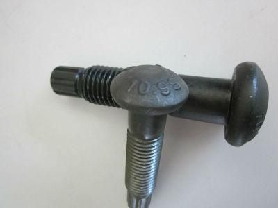 3/4&quot;*5-1/2&quot; Black ASTM A325 Structural Tc Bolt and A563 Hex Nut F436 Washer Tc Bolt