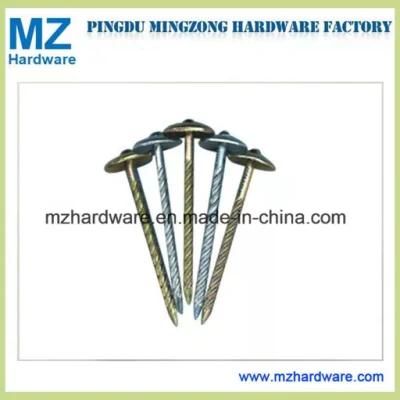 Umbrella Head Galvanized Roofing Nail From Factory