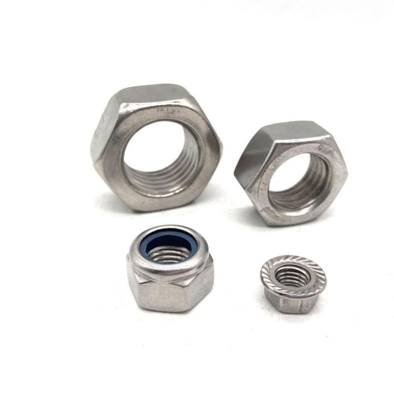 Stainless Steel Hex Bolt Nut