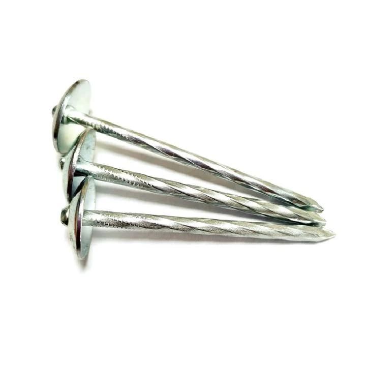 2.5 Inch Umbrella Head Roofing Nail/Galvanized/Screw/Factory