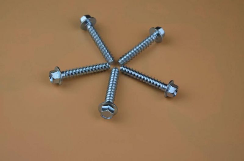 Cheese Screw Torx Bit Self Tapping Screw/Torx Bolts