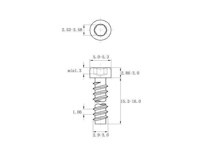 Stainless Steel Hexagon Socket Self Tapping Screw