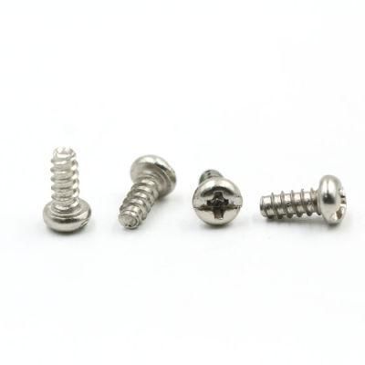 Custom SUS304 SUS316 Phillips Slot Self Tapping Screw