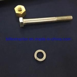 Stainless Steel Tri Clamp Kits (brass nut, bolt, washer)