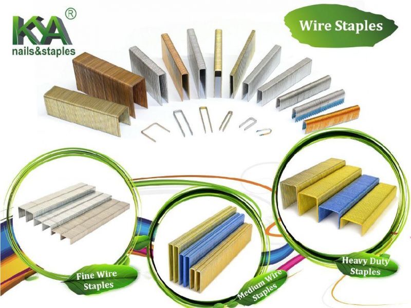 Fasco HD Series Heavy Wire Staples for Decoration